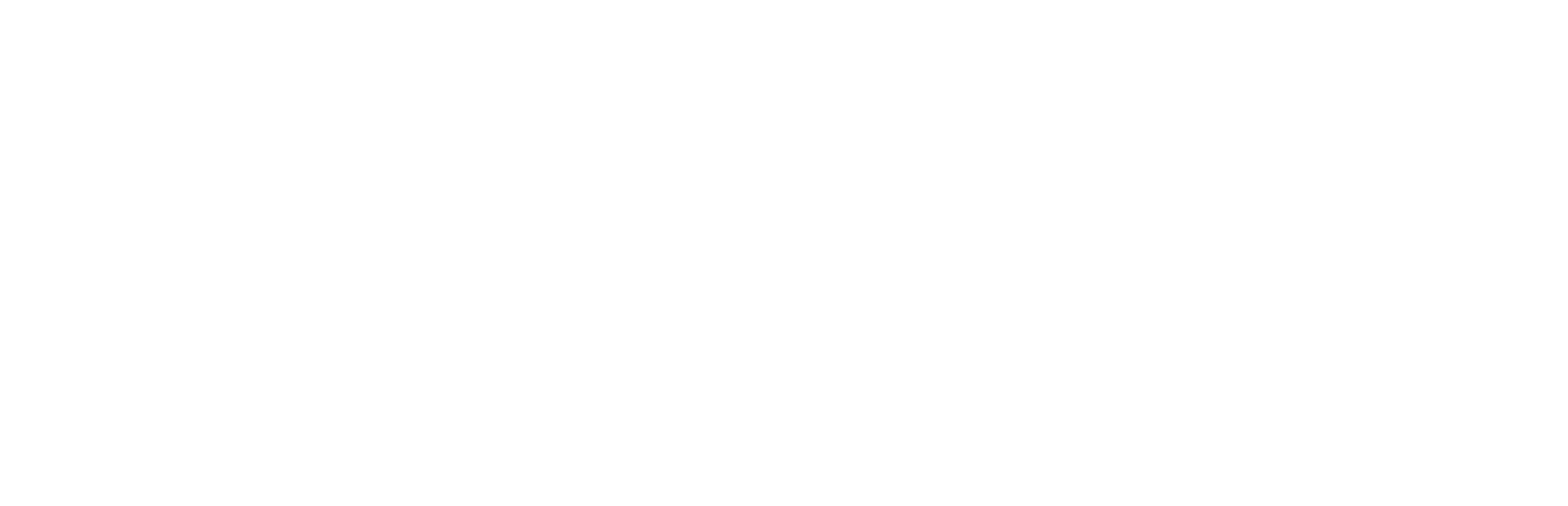 Corina Venzin