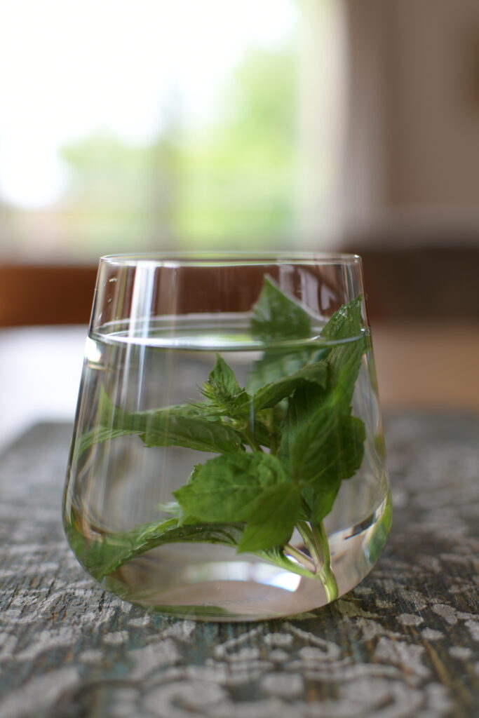 Wasserglas mit Pfefferminz – Wie Trinken Lernen bei ADHS und Autismus unterstützt